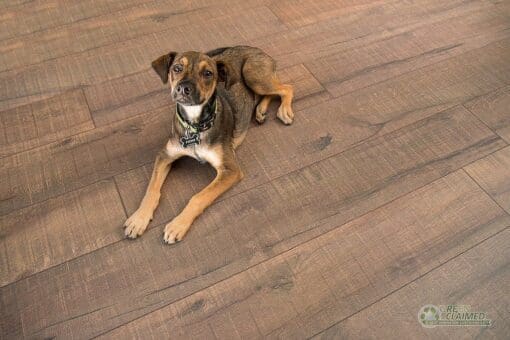 Cali Bamboo Engineered Cork Flooring The Green Design Center